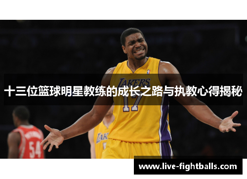 十三位篮球明星教练的成长之路与执教心得揭秘