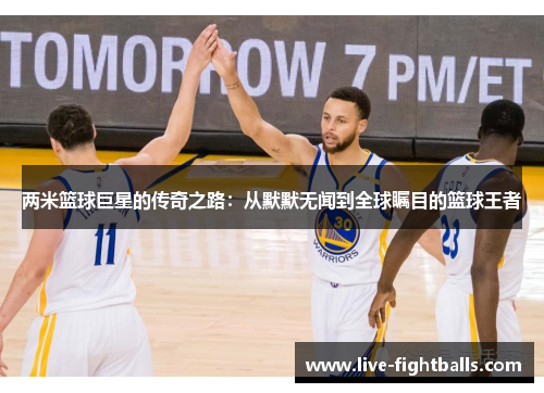 两米篮球巨星的传奇之路:从默默无闻到全球瞩目的篮球王者