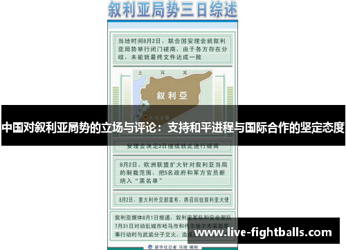 中国对叙利亚局势的立场与评论:支持和平进程与国际合作的坚定态度