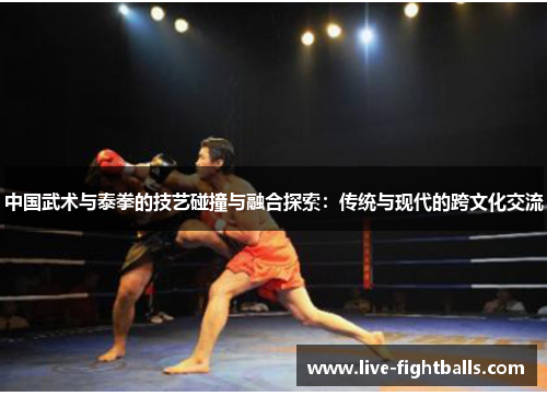 中国武术与泰拳的技艺碰撞与融合探索:传统与现代的跨文化交流
