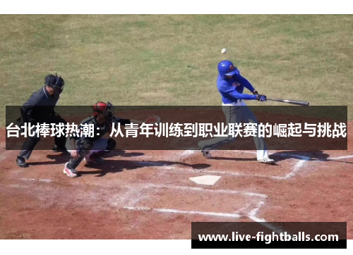 台北棒球热潮:从青年训练到职业联赛的崛起与挑战