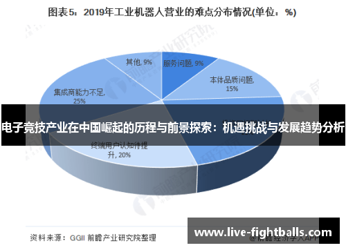 电子竞技产业在中国崛起的历程与前景探索:机遇挑战与发展趋势分析