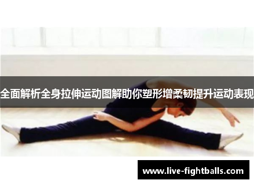 全面解析全身拉伸运动图解助你塑形增柔韧提升运动表现