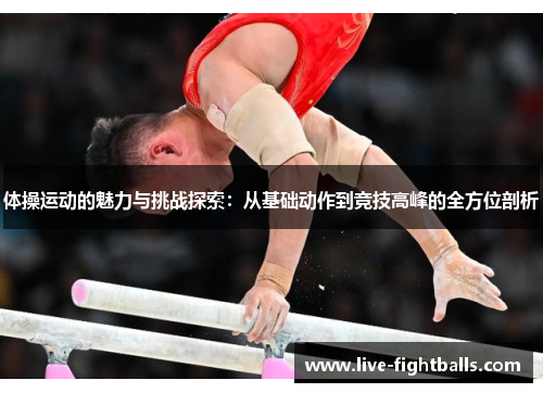 体操运动的魅力与挑战探索:从基础动作到竞技高峰的全方位剖析