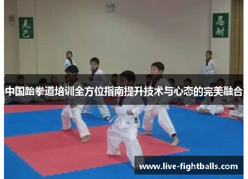 中国跆拳道培训全方位指南提升技术与心态的完美融合