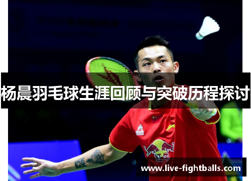 杨晨羽毛球生涯回顾与突破历程探讨