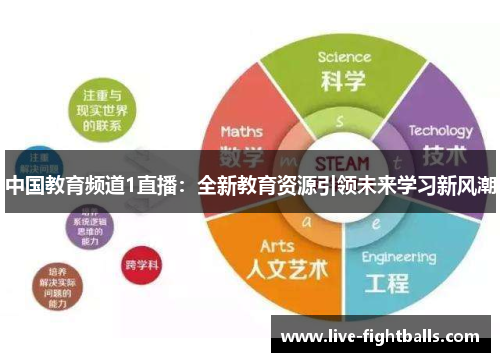 中国教育频道1直播:全新教育资源引领未来学习新风潮