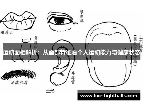 运动面相解析：从面部特征看个人运动能力与健康状态