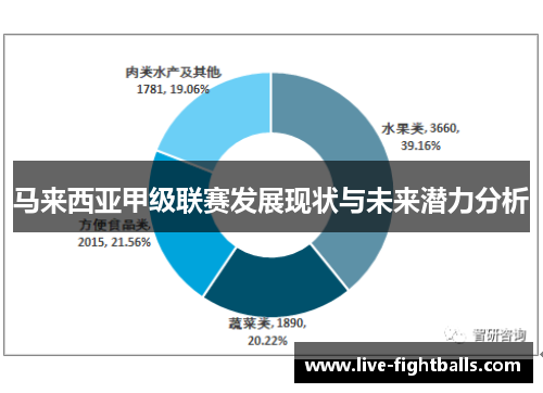 马来西亚甲级联赛发展现状与未来潜力分析